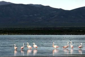 Laguna Los Pozuelos, Jujuy.