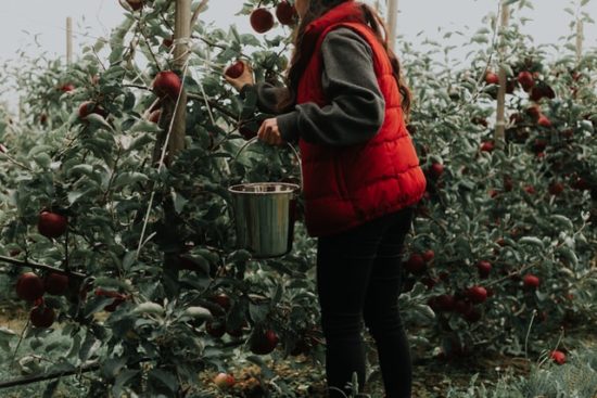 beneficios del vinagre de manzana en la piel