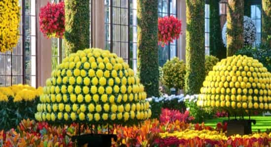 Jardines botánicos en América