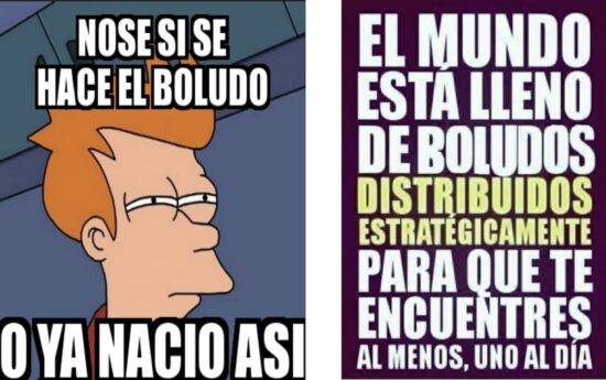 Mejores memes del día del boludo chistes del día del boludo
