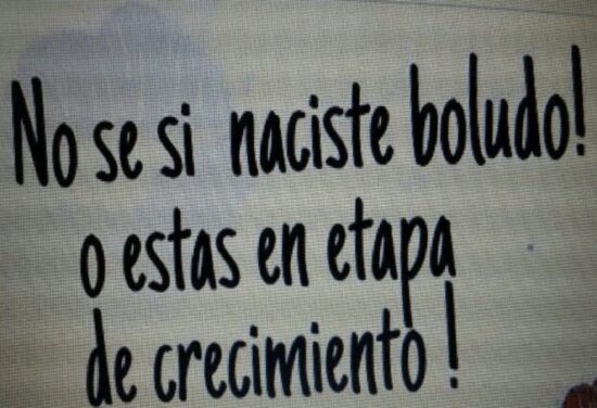 Frases divertidas del día del boludo como usar la palabra boludo